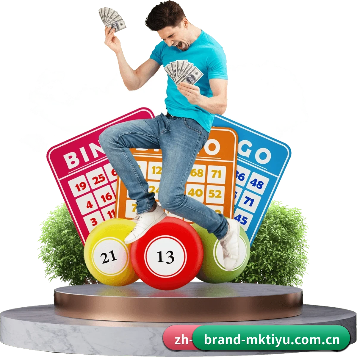 MK体育 APP